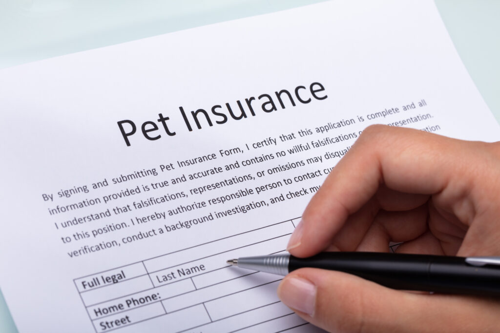 Close-up Of A Woman's Hand Filling Pet Insurance Form With Pen